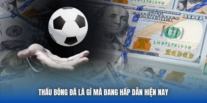 Thầu bóng đá là gì mà đang hấp dẫn hiện nay 